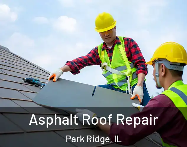  Asphalt Roof Repair Park Ridge, IL