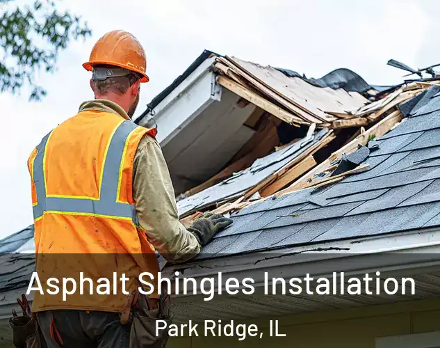  Asphalt Shingles Installation Park Ridge, IL