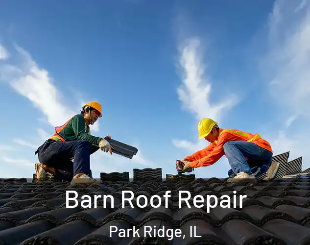  Barn Roof Repair Park Ridge, IL