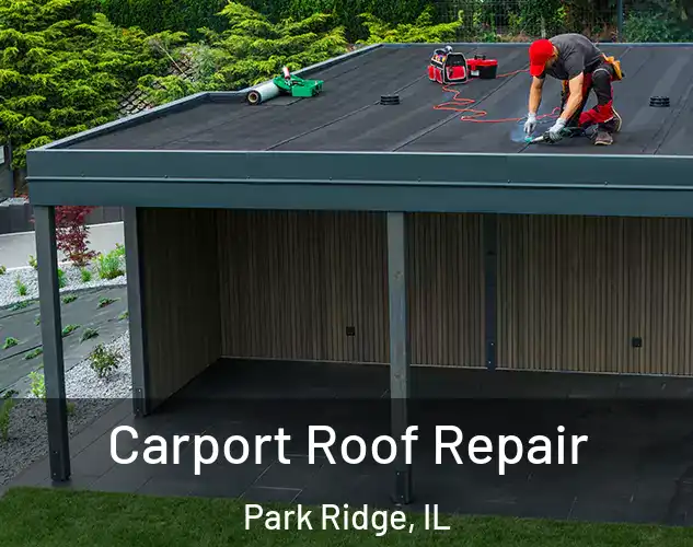  Carport Roof Repair Park Ridge, IL