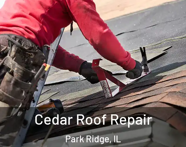  Cedar Roof Repair Park Ridge, IL