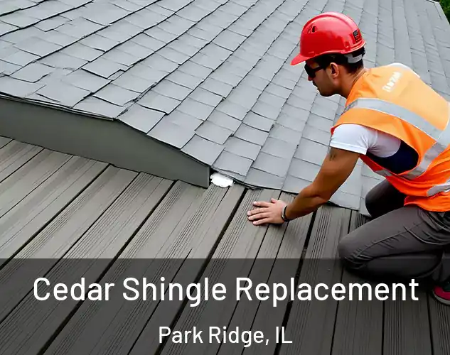  Cedar Shingle Replacement Park Ridge, IL