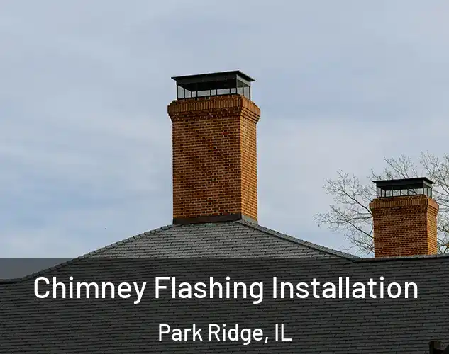  Chimney Flashing Installation Park Ridge, IL