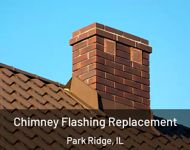  Chimney Flashing Replacement Park Ridge, IL