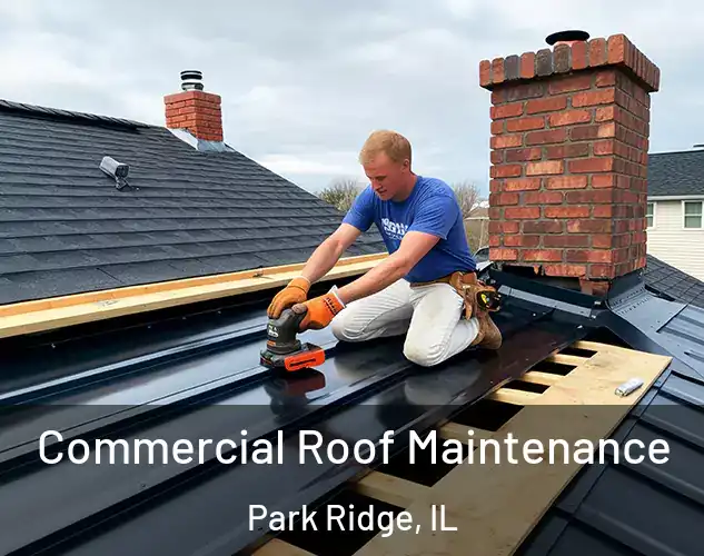  Commercial Roof Maintenance Park Ridge, IL