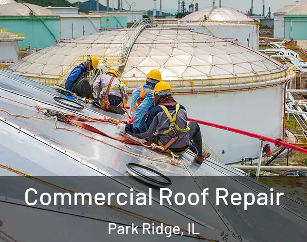  Commercial Roof Repair Park Ridge, IL