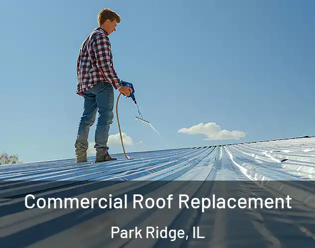  Commercial Roof Replacement Park Ridge, IL