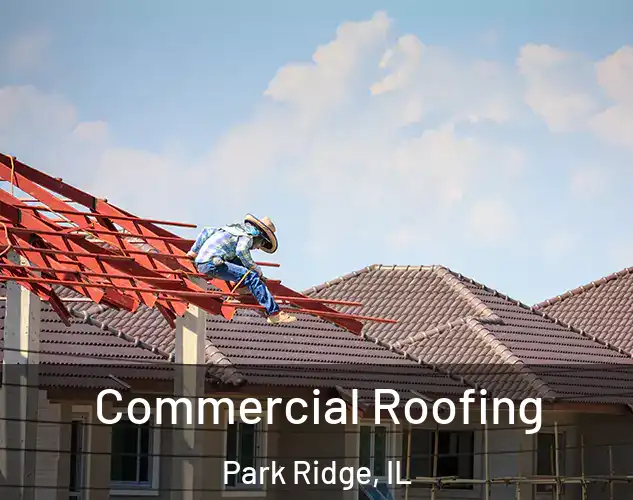  Commercial Roofing Park Ridge, IL