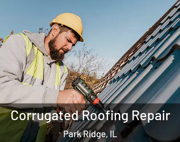  Corrugated Roofing Repair Park Ridge, IL