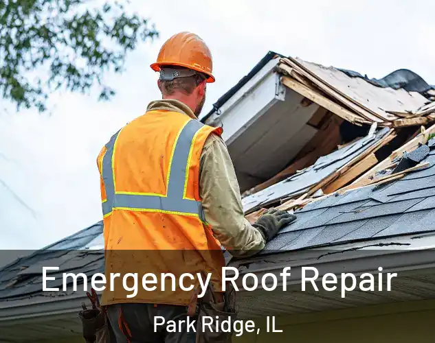  Emergency Roof Repair Park Ridge, IL