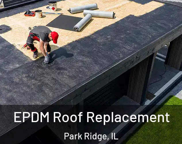  EPDM Roof Replacement Park Ridge, IL