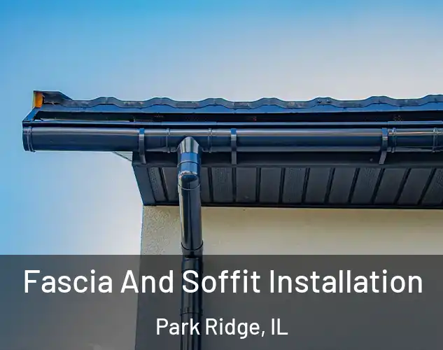  Fascia And Soffit Installation Park Ridge, IL