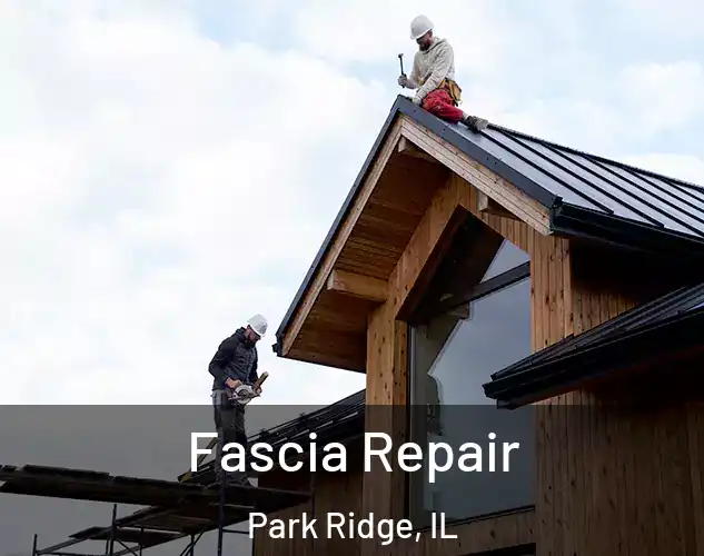  Fascia Repair Park Ridge, IL