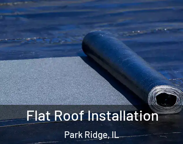  Flat Roof Installation Park Ridge, IL
