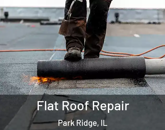  Flat Roof Repair Park Ridge, IL