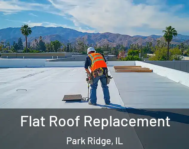 Flat Roof Replacement Park Ridge, IL