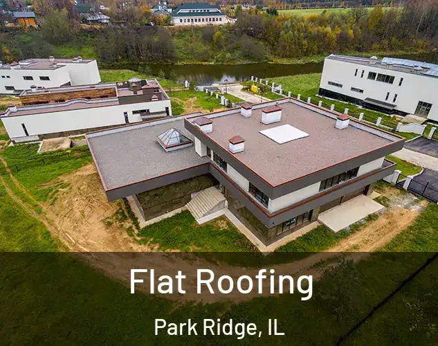 Flat Roofing Park Ridge, IL