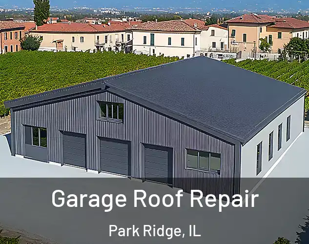  Garage Roof Repair Park Ridge, IL