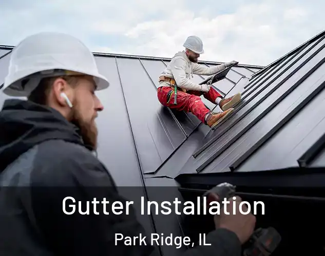  Gutter Installation Park Ridge, IL