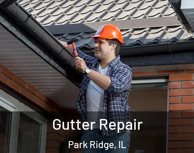  Gutter Repair Park Ridge, IL