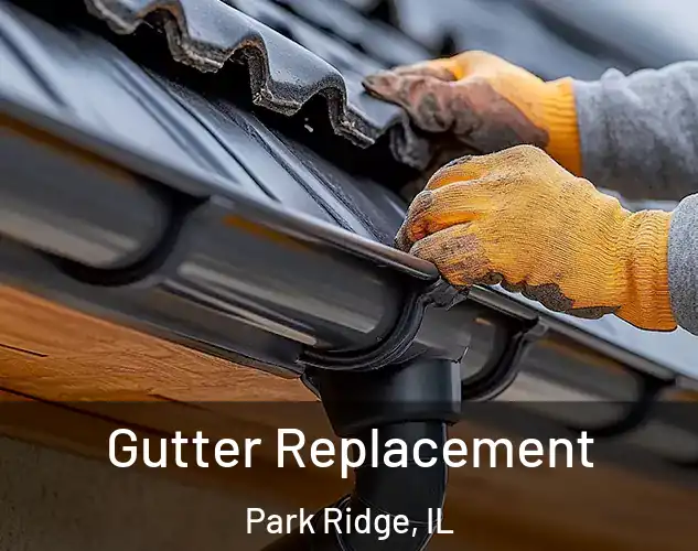  Gutter Replacement Park Ridge, IL
