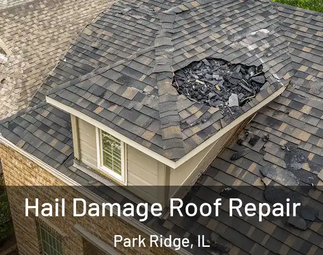  Hail Damage Roof Repair Park Ridge, IL
