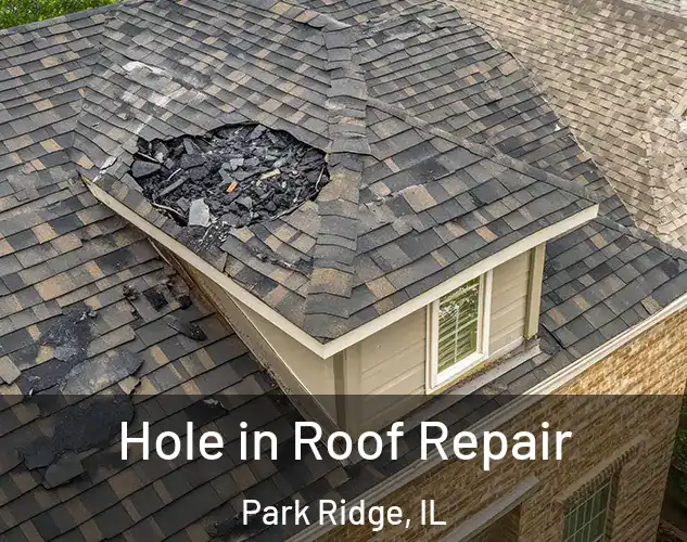  Hole in Roof Repair Park Ridge, IL