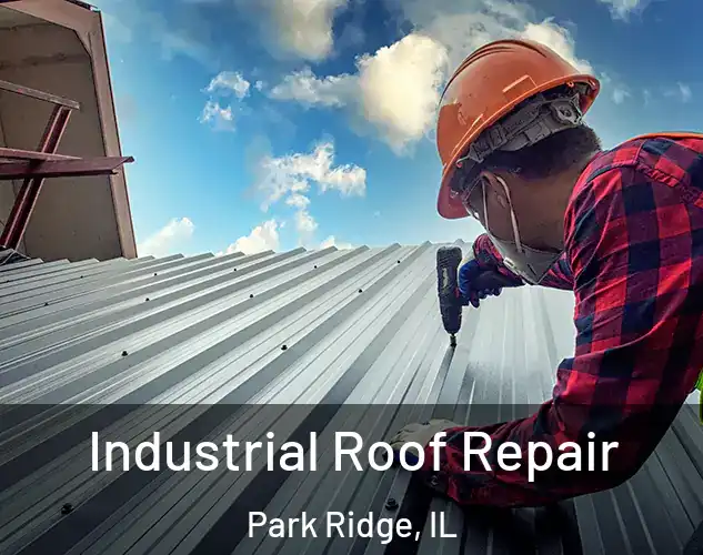  Industrial Roof Repair Park Ridge, IL