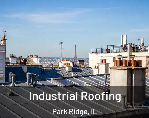  Industrial Roofing Park Ridge, IL