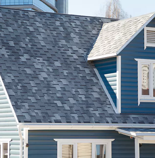 Expert Shingle Roof Repair in Park Ridge IL: Skilled Professionals Who Fix Roof Shingles Right the First Time
