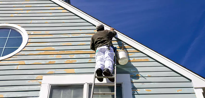 Professional Roof and Siding Repair Services in Park Ridge, IL