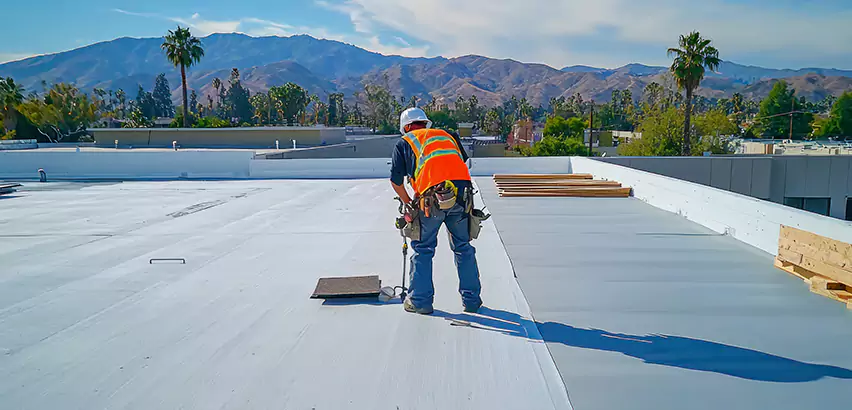 Professional Roof Coating Services in Park Ridge, IL