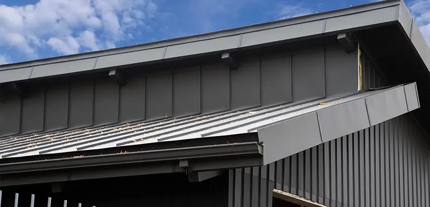 Professional Roof Eaves Installation Services in Park Ridge, IL