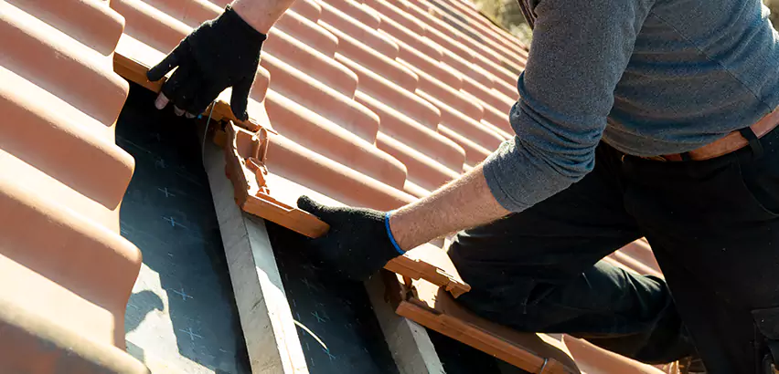 Professional Tile Roof Restoration Services in Park Ridge, IL