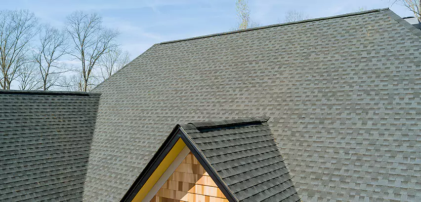 Replacing Vinyl Siding With Cedar Shingles in Park Ridge