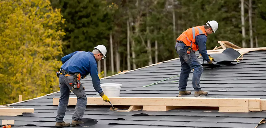 Garage Felt Roof Replacement in Park Ridge