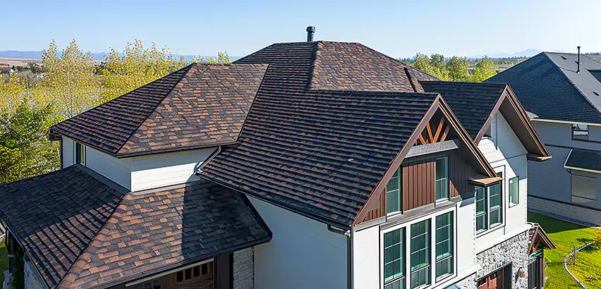 Residential Shingle Roofing in Park Ridge