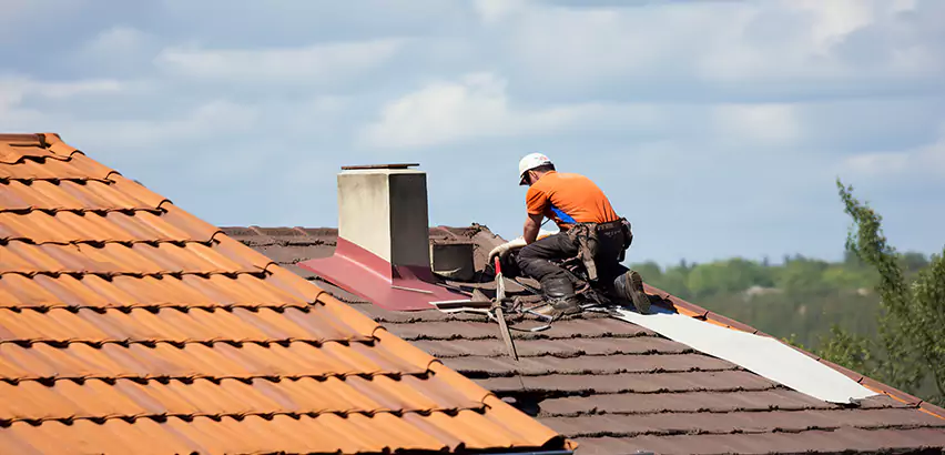 Cedar Roof Maintenance in Park Ridge