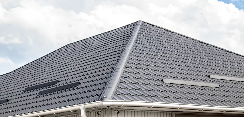 Roof Gully Repair in Park Ridge