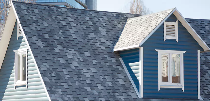 Shingle Roof Maintenance in Park Ridge