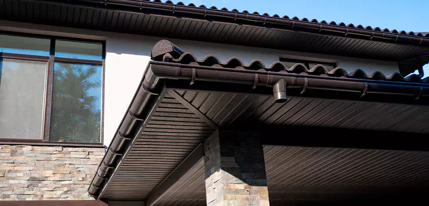Soffit Damage Repair in Park Ridge