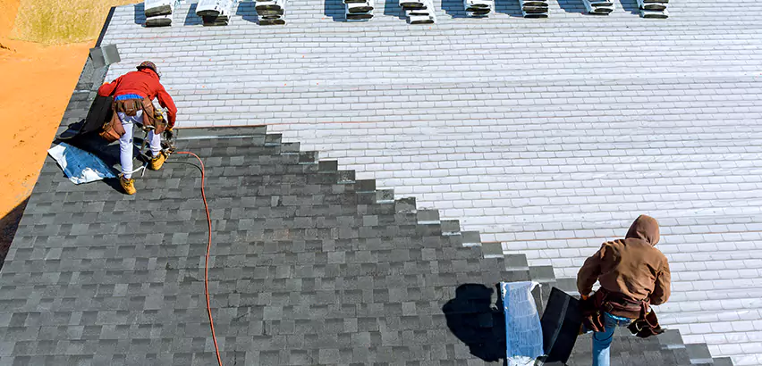 Cement Tile Roof Restoration in Park Ridge