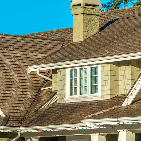 Why Park Ridge Roofing Pro in Park Ridge, IL's Leading Cedar Roof Installation Company?