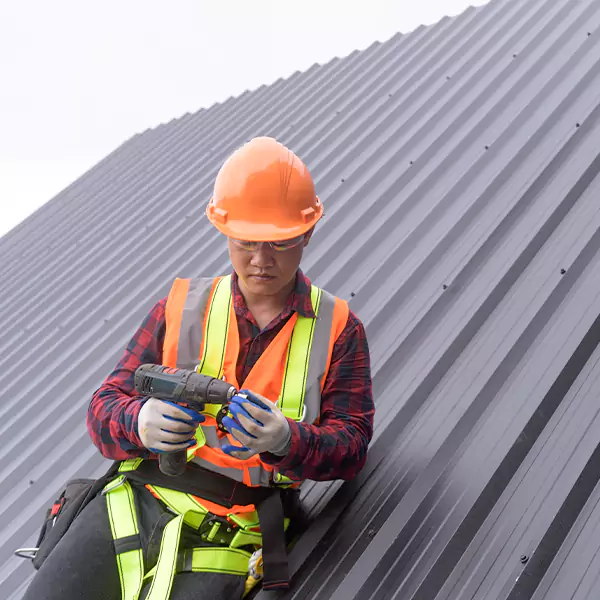 Why Property Owners in Park Ridge Choose Park Ridge Roofing Pro for Tin Roofing Installation Service?