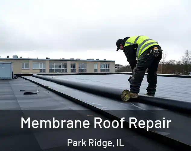  Membrane Roof Repair Park Ridge, IL