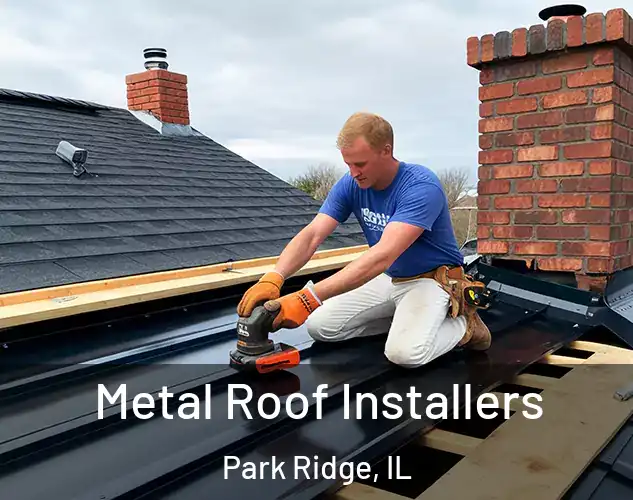  Metal Roof Installers Park Ridge, IL