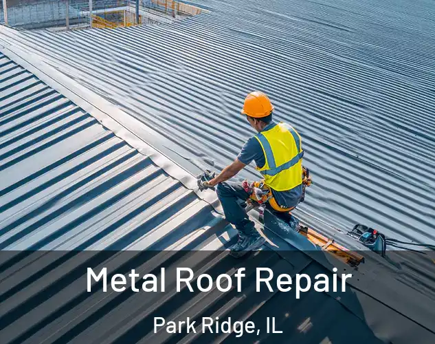  Metal Roof Repair Park Ridge, IL
