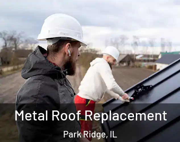  Metal Roof Replacement Park Ridge, IL