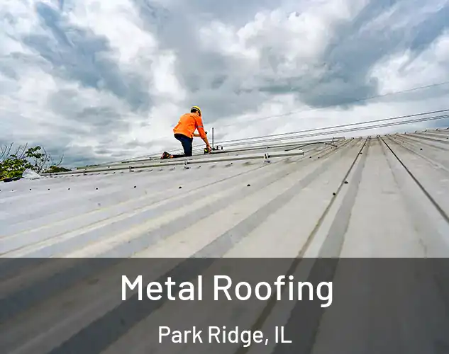  Metal Roofing Park Ridge, IL