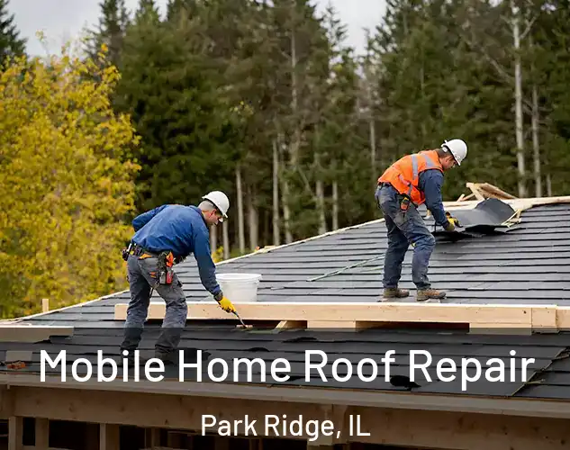  Mobile Home Roof Repair Park Ridge, IL